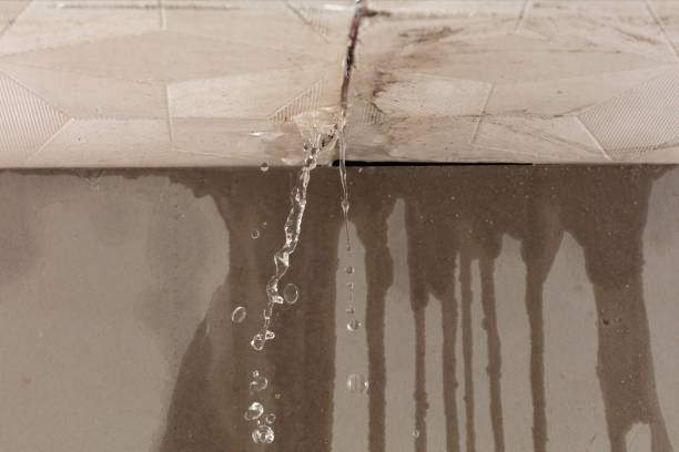 Professional Burst Pipe Cleanup technician working in Centerview, MO